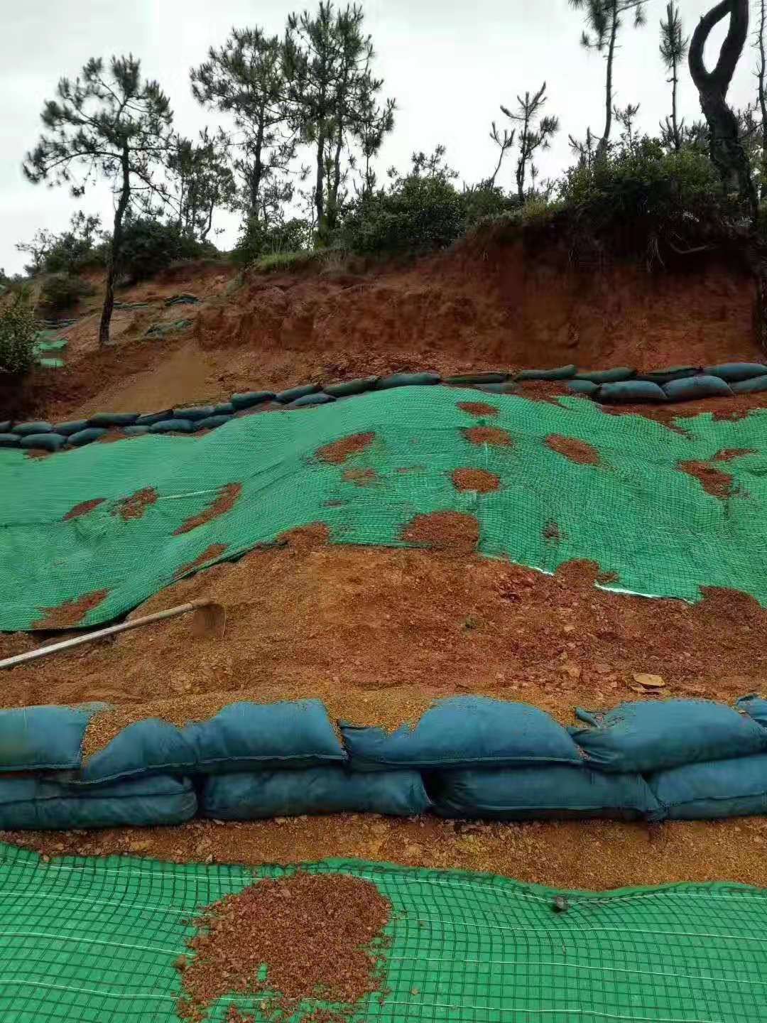 新型土工材料護(hù)坡建“會(huì)呼吸”的生態(tài)駁岸
