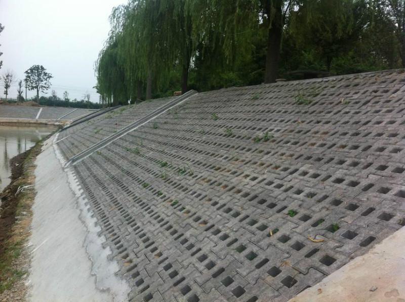 3種常見的坡式護岸技術分別是什么類型？